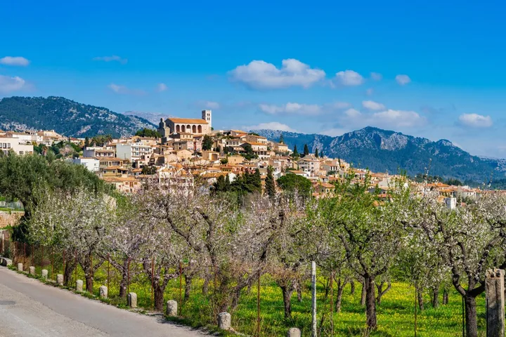 Village in Mallorca with its church on the hill, almond trees in blossom along the road and the Tramuntana mountains behind