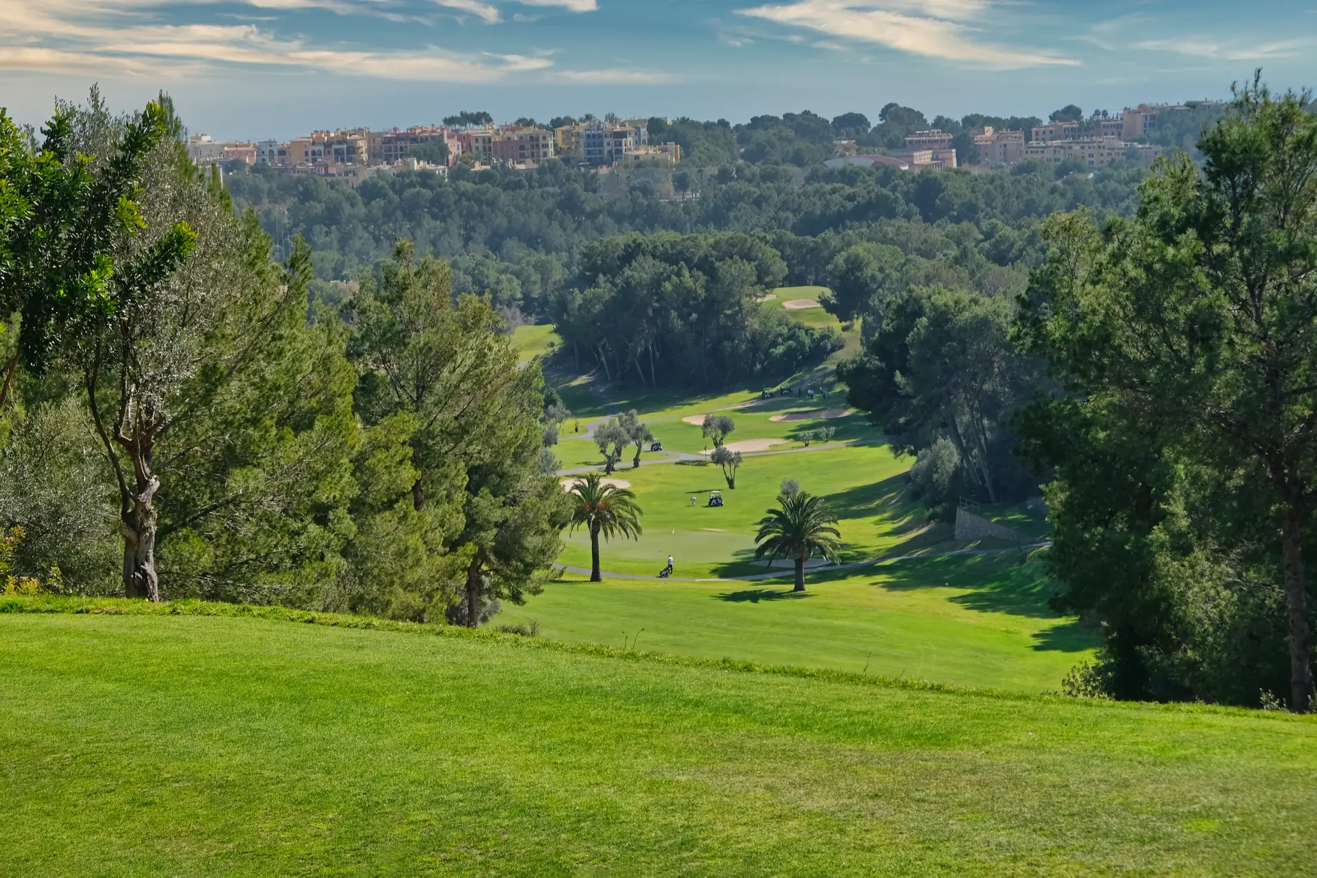 View across a golf course in Mallorca with pine trees, palms and fairways, houses on a hill behind