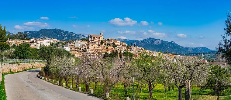 Bergdorf auf Mallorca mit Kirche auf dem Hügel, davor blühende Mandelbäume am Straßenrand, dahinter die Berge der Tramuntana